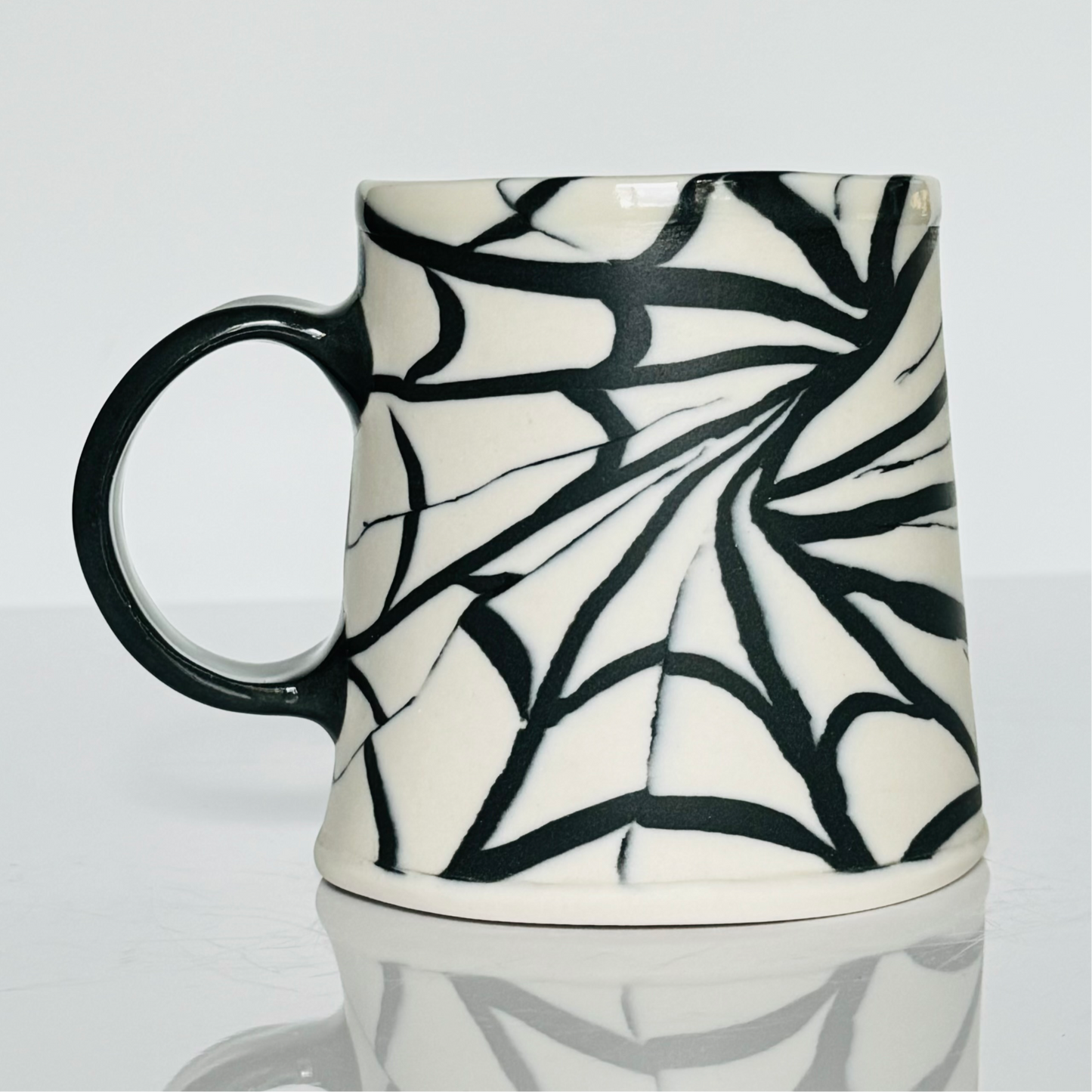 Spider Web Secret Message Mug (seconds)